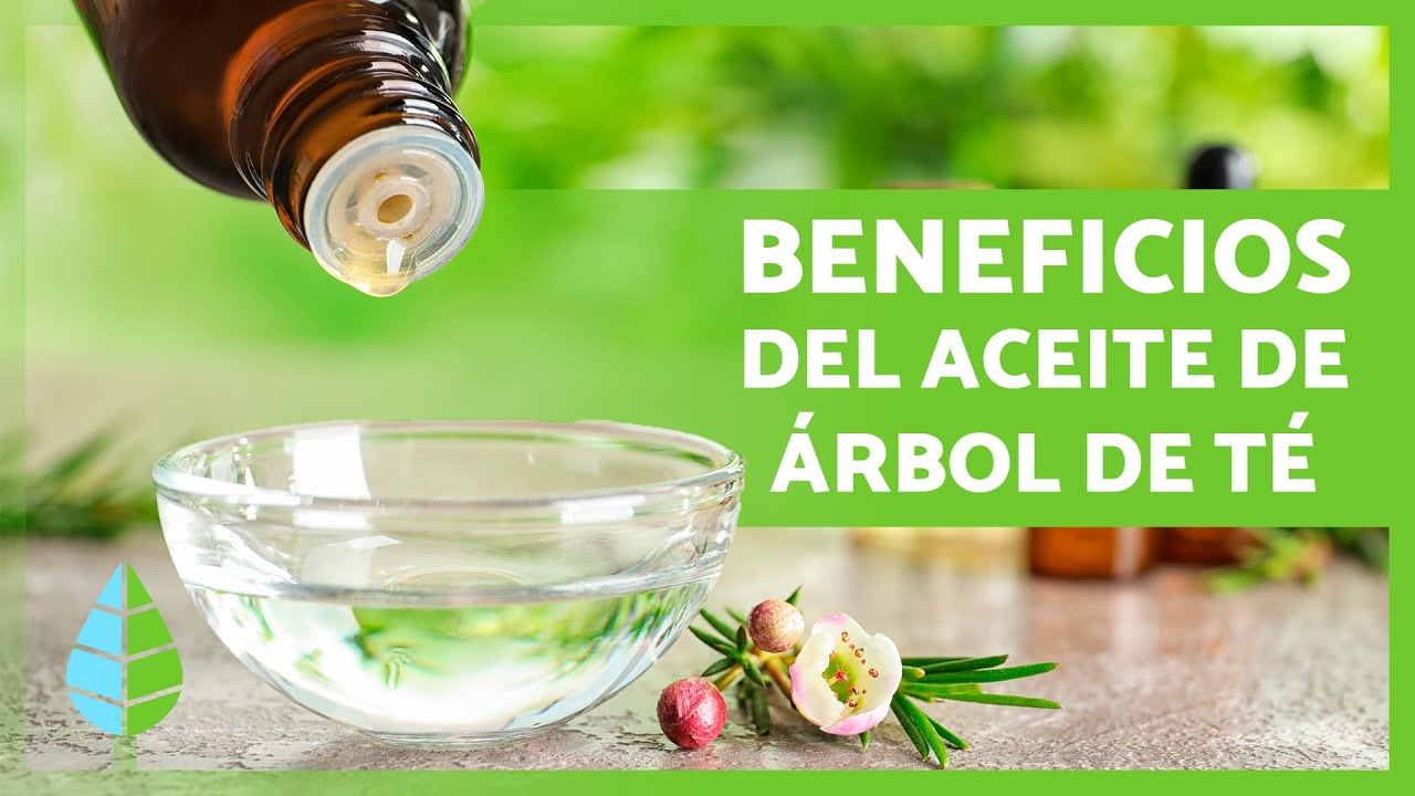 beneficios del aceite de arbol de te para la piel