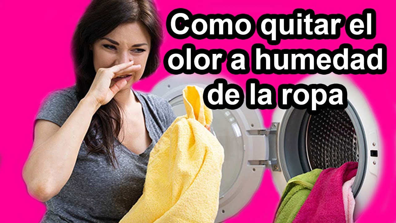 como evitar el olor a humedad en la ropa