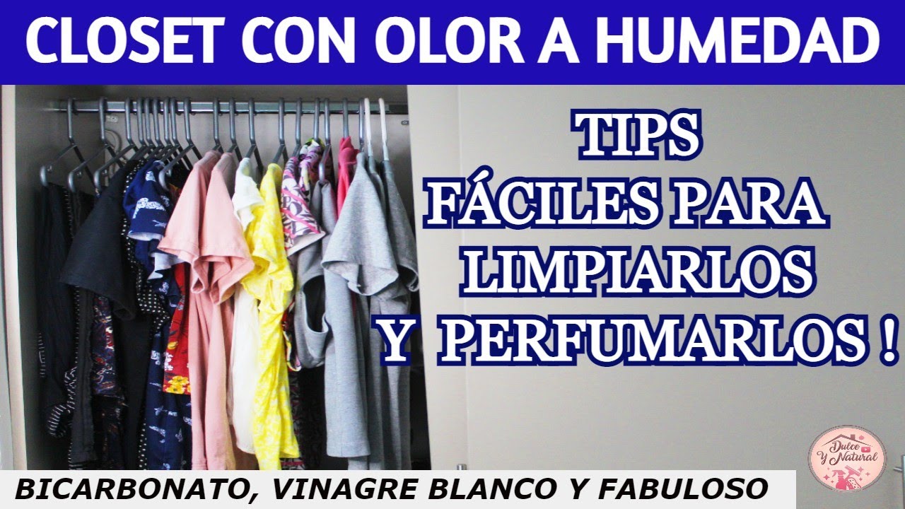 como sacar el olor a humedad del placard