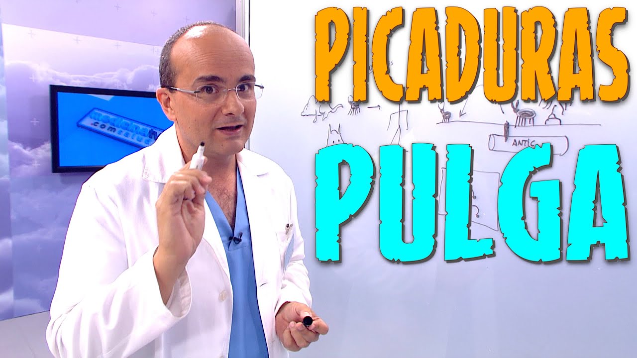 como son las picaduras de pulgas en niños