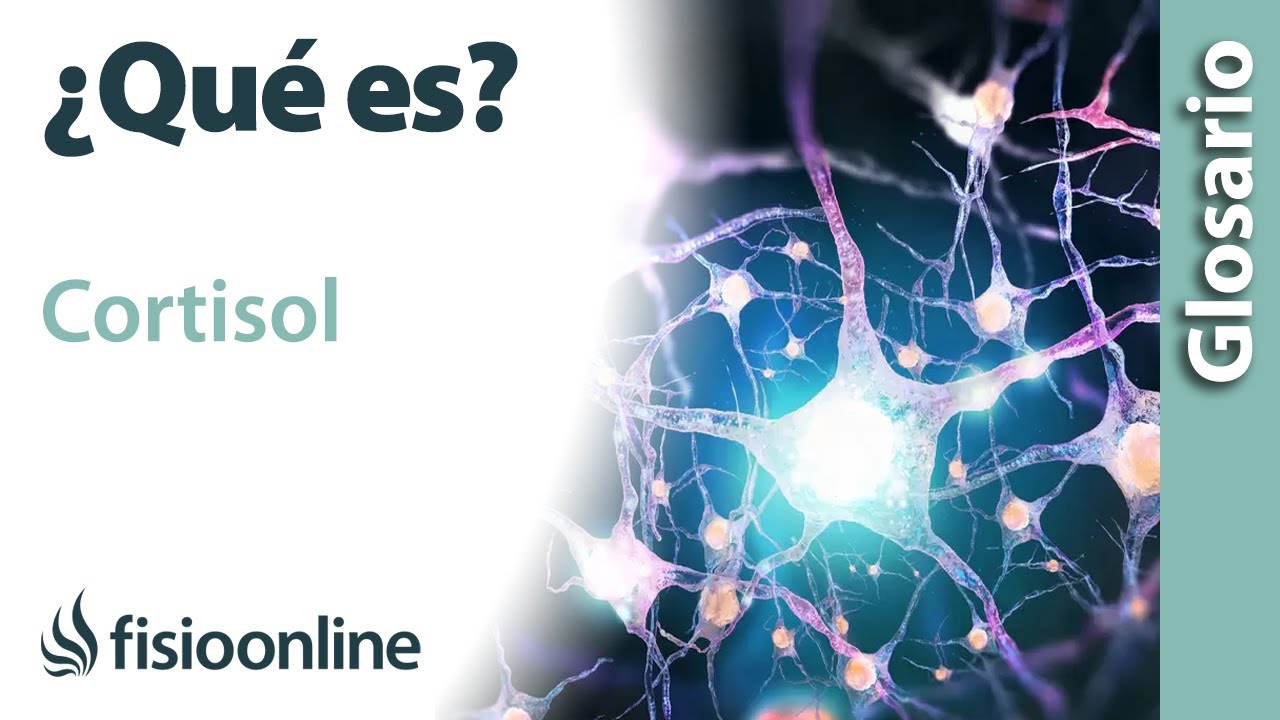 cual es la funcion de la hormona cortisol