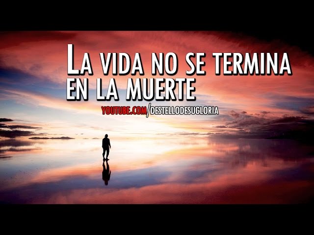 frases de reflexion sobre la vida y la muerte