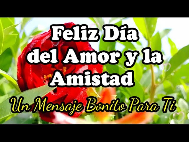 frases feliz dia de la amistad y amor