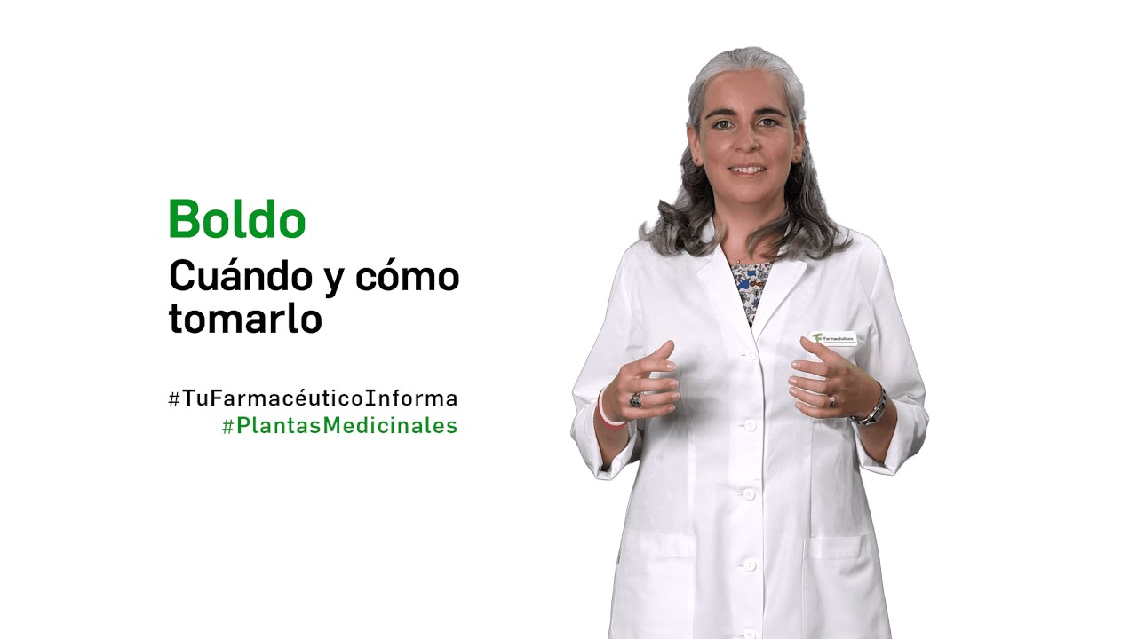 para k es bueno el te de boldo