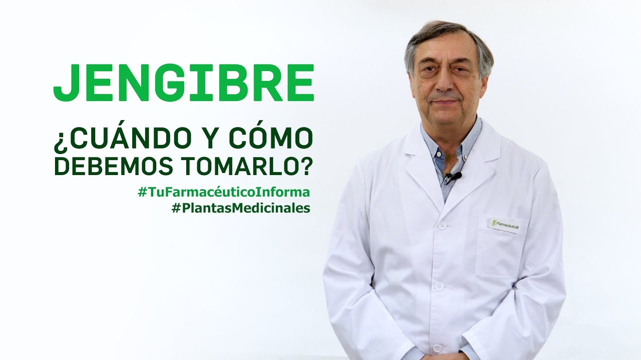 para que es bueno la infusion de jengibre