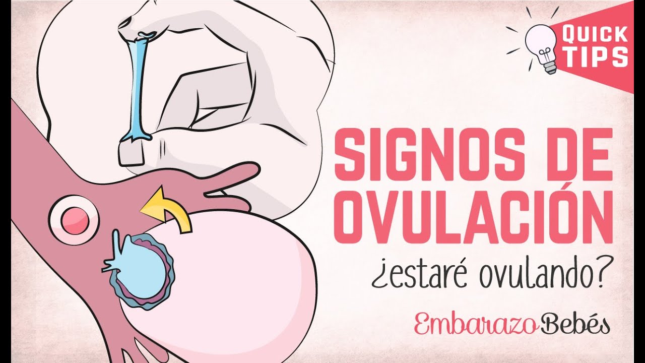 se puede estar ovulando y no tener flujo