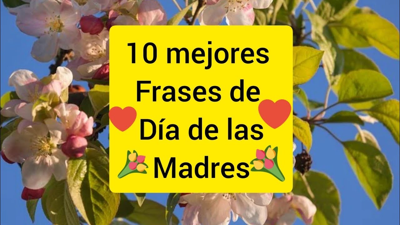 frases bonitas del dia de la madre cortas