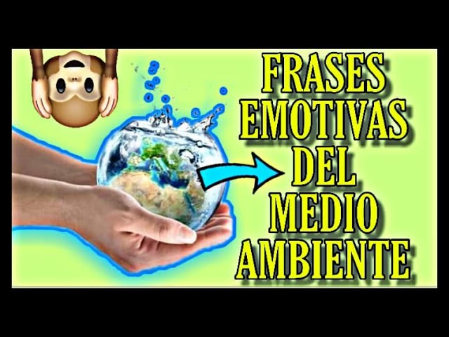 frases bonitas sobre el medio ambiente para niños