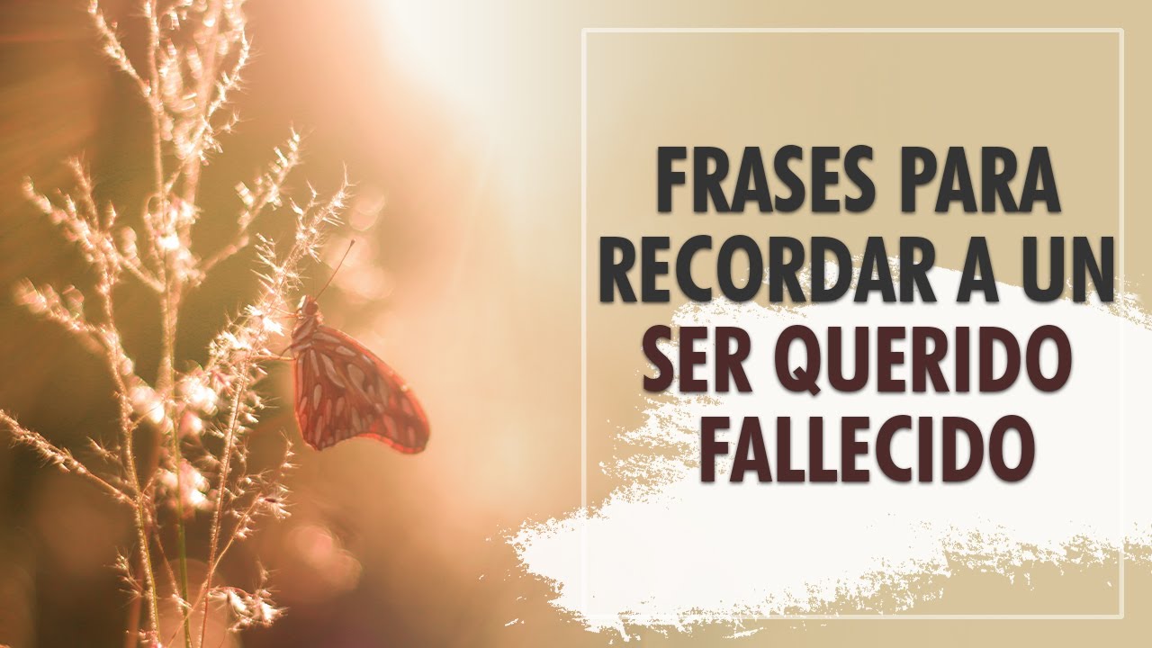 frases para los que ya no estan en este mundo