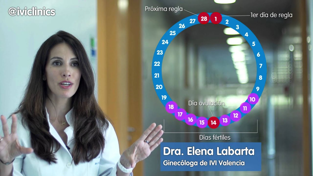 la ovulacion se cuenta desde el primer dia de menstruacion