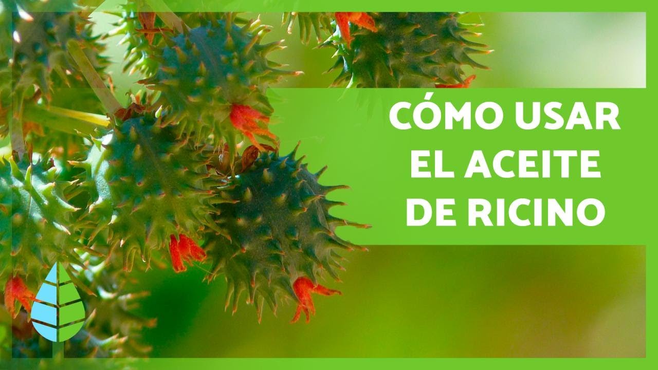 para que se usa el aceite de ricino